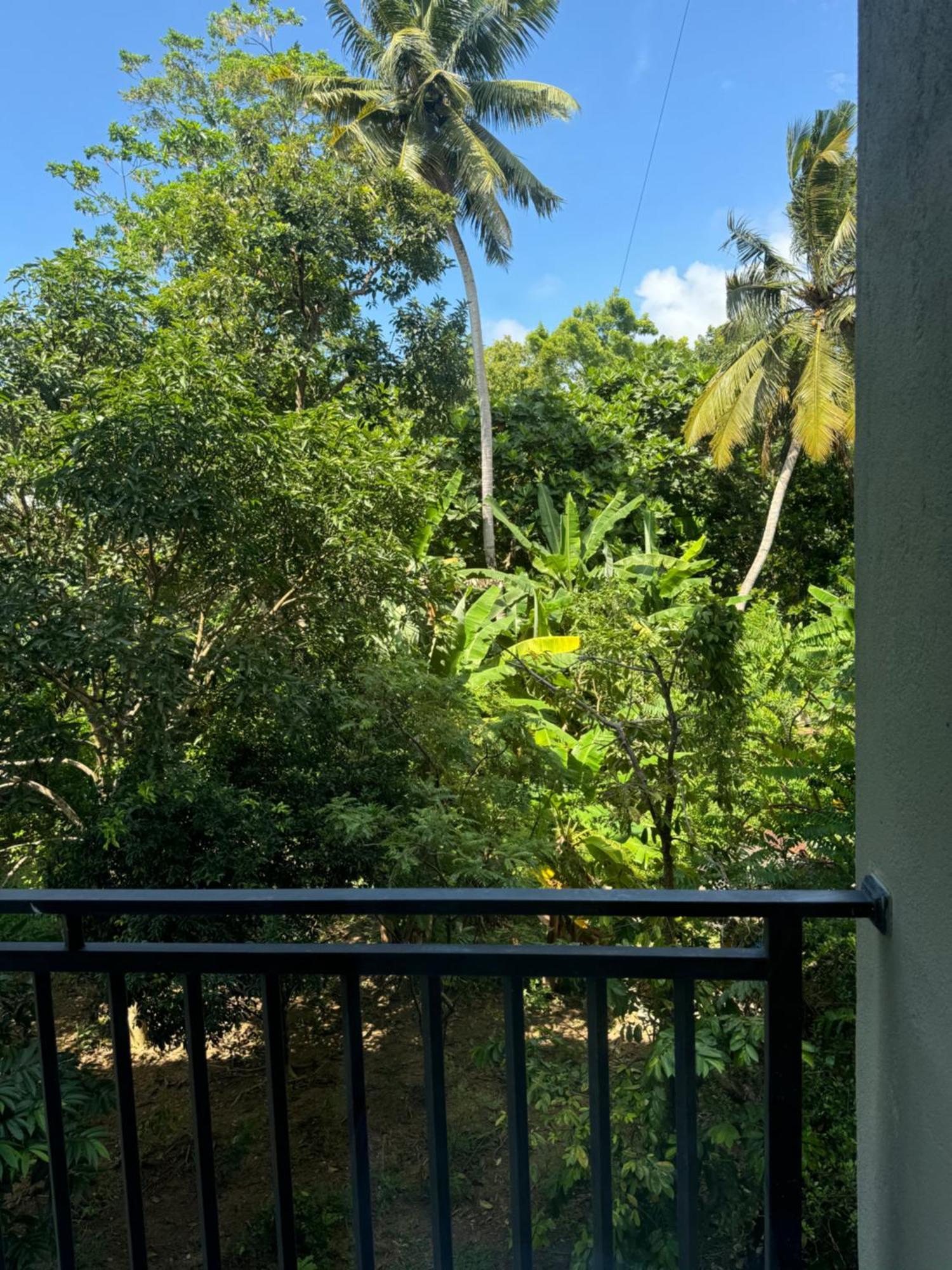 Sapiens Home - Weligama Bay מראה חיצוני תמונה