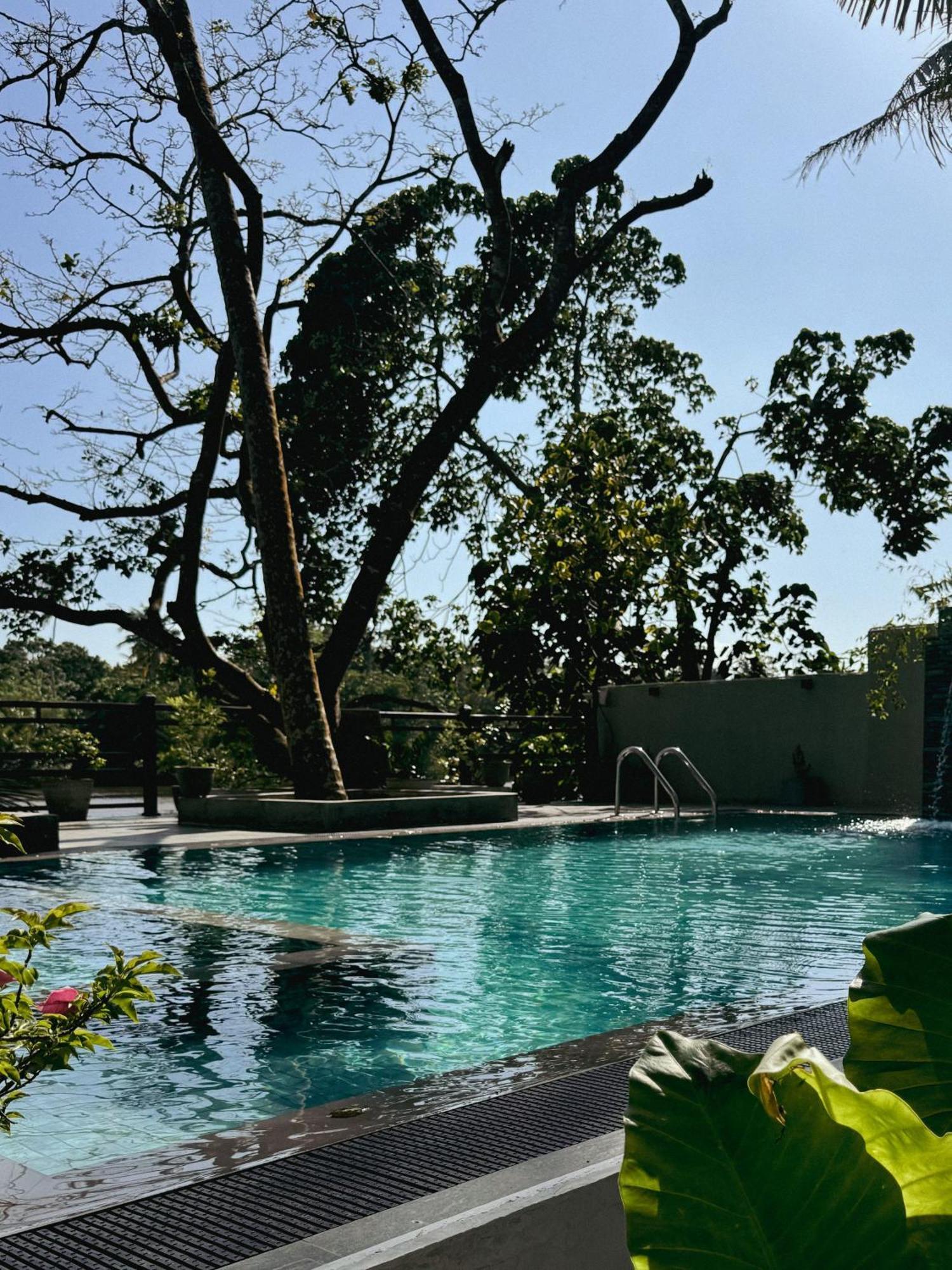 Sapiens Home - Weligama Bay מראה חיצוני תמונה